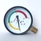 Đồng hồ đo áp suất ống đồng thau Màu xanh lá cây Màu vàng Mặt số màu đỏ 80mm 15 Bar